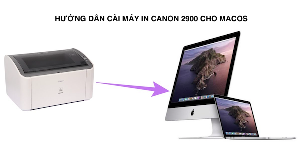 Cách cài máy in Canon 2900 cho MacBook